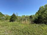  Honey Creek Loop Rd - Photo 3