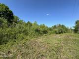  Honey Creek Loop Rd - Photo 4