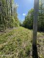  Honey Creek Loop Rd - Photo 5