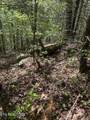  Honey Creek Loop Rd - Photo 9