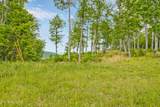  Bear Knob Lane - Photo 3