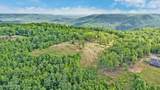  Bear Knob Lane - Photo 6