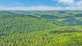  Bear Knob Lane - Photo 7