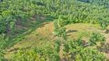  Bear Knob Lane - Photo 8