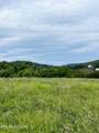 Tract 17 Buffalo Springs Rd - Photo 1