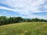  Hiwassee Drive - Photo 2