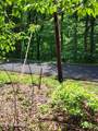  Hiwassee Drive - Photo 4