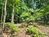  Hiwassee Drive - Photo 6