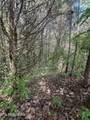 lot 287 Par Place - Photo 6
