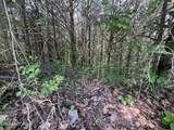 lot 287 Par Place - Photo 8