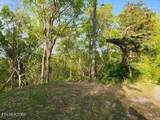 1509 Lundy Rd - Photo 29