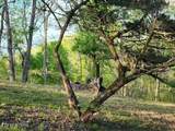 1509 Lundy Rd - Photo 33