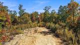  Alpine Drive - Photo 12