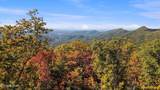  Alpine Drive - Photo 15