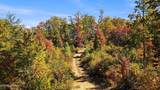  Alpine Drive - Photo 20