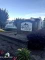 900 Mountain Creek Rd - Photo 1