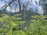  River Birch Way - Photo 11