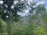  River Birch Way - Photo 15