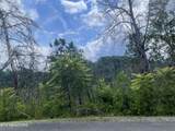  River Birch Way - Photo 19