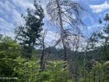  River Birch Way - Photo 21