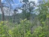  River Birch Way - Photo 22