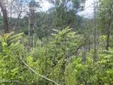  River Birch Way - Photo 23