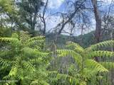  River Birch Way - Photo 24
