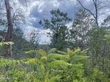  River Birch Way - Photo 25