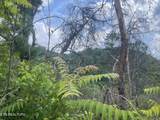  River Birch Way - Photo 26