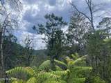  River Birch Way - Photo 27