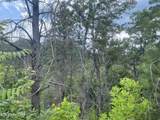  River Birch Way - Photo 28