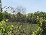 1874 Blue Hollow Rd - Photo 33