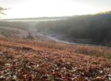1874 Blue Hollow Rd - Photo 46