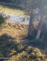 1874 Blue Hollow Rd - Photo 48