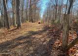 1874 Blue Hollow Rd - Photo 52
