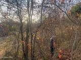 1874 Blue Hollow Rd - Photo 58