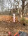 1874 Blue Hollow Rd - Photo 59