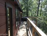 3122 Bear Mountain Lane Lane - Photo 13