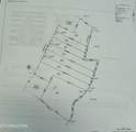 Lot 7 Rutledge Pike - Photo 6