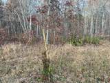 240 Perkins Tr - Photo 24