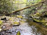 40 acres Ivy Trail - Photo 10