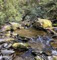 40 acres Ivy Trail - Photo 13