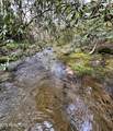 40 acres Ivy Trail - Photo 14
