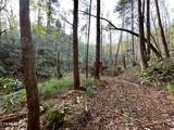40 acres Ivy Trail - Photo 16