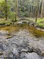 40 acres Ivy Trail - Photo 20