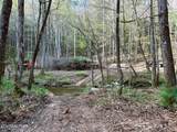 40 acres Ivy Trail - Photo 21
