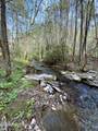 40 acres Ivy Trail - Photo 23