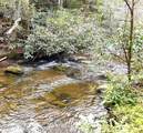 40 acres Ivy Trail - Photo 29