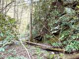 40 acres Ivy Trail - Photo 36