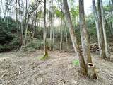 40 acres Ivy Trail - Photo 38